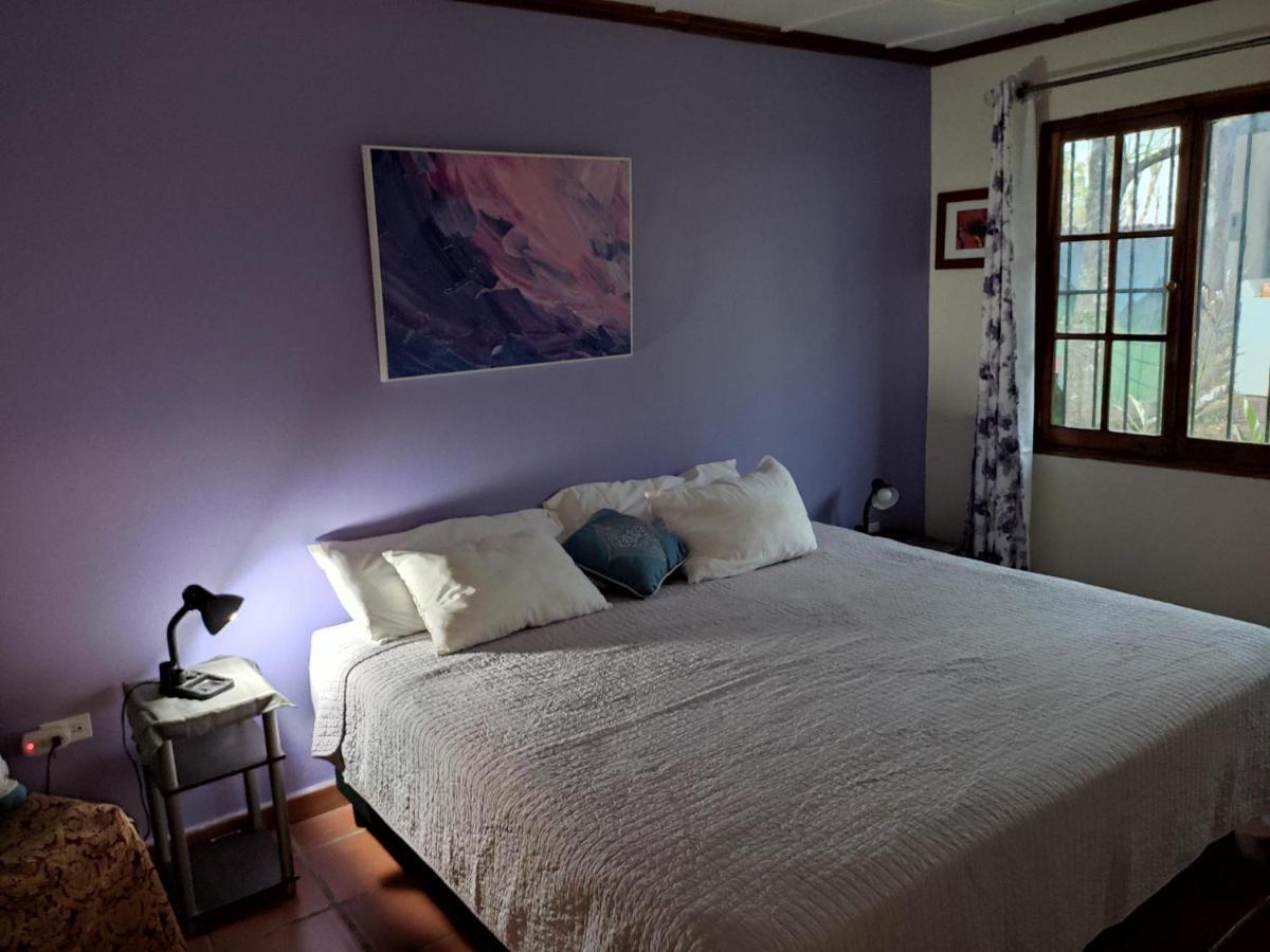 La Jungla Experience Lodgings - Vacation Home And Apartment Boquete Esterno foto
