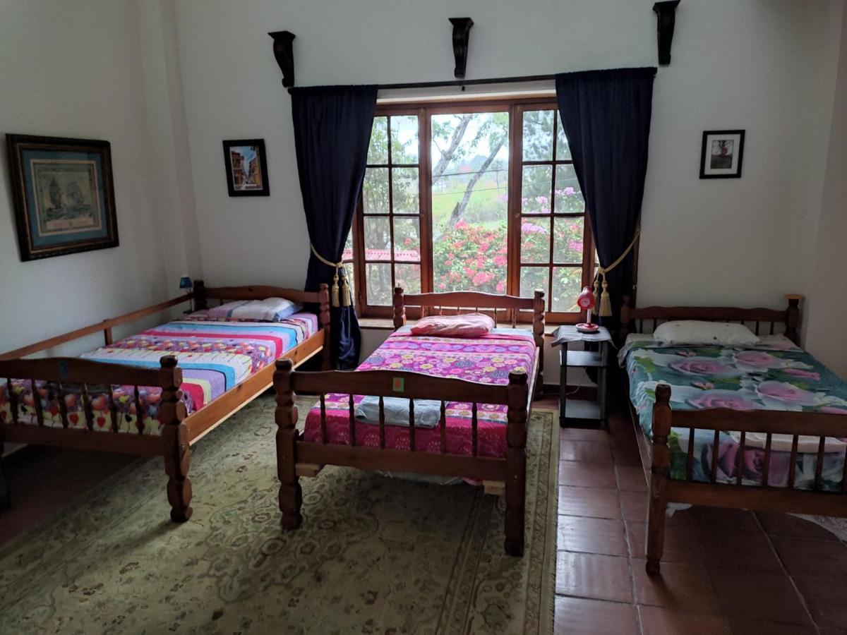 La Jungla Experience Lodgings - Vacation Home And Apartment Boquete Esterno foto
