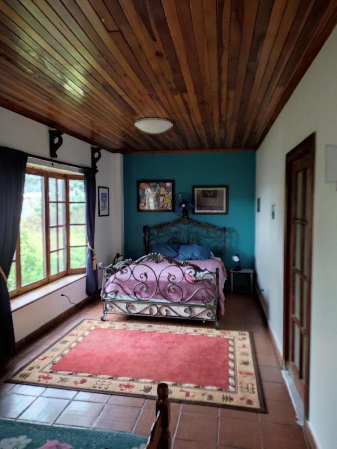 La Jungla Experience Lodgings - Vacation Home And Apartment Boquete Esterno foto
