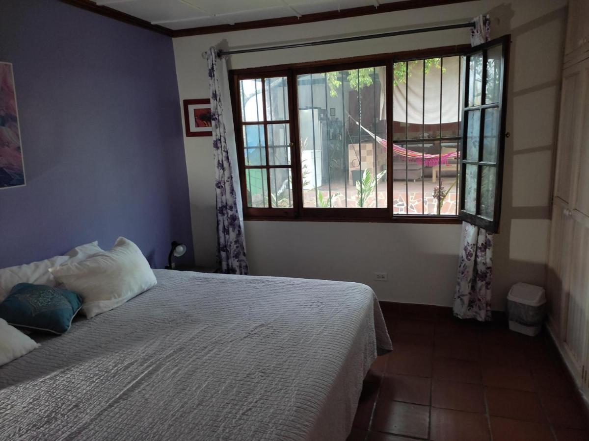 La Jungla Experience Lodgings - Vacation Home And Apartment Boquete Esterno foto
