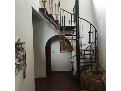 La Jungla Experience Lodgings - Vacation Home And Apartment Boquete Esterno foto