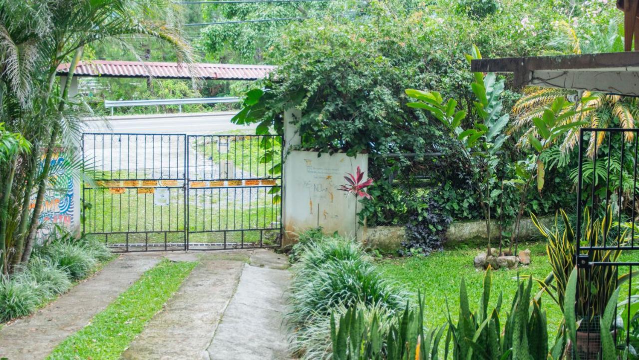La Jungla Experience Lodgings - Vacation Home And Apartment Boquete Esterno foto
