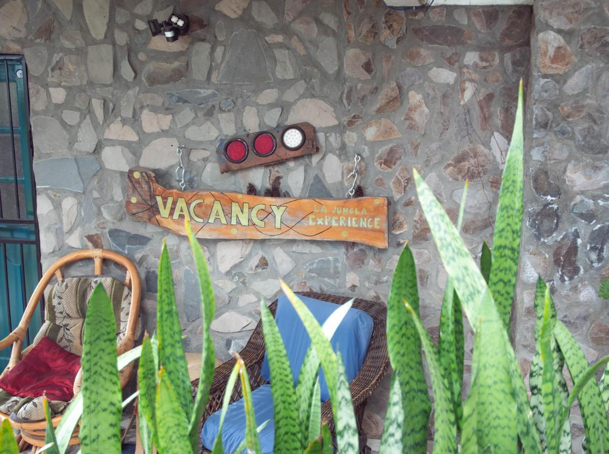 La Jungla Experience Lodgings - Vacation Home And Apartment Boquete Esterno foto